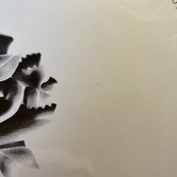 Pier 1 Imports Pasta Recipe Serving Bowl 13 in Made In Portugal READ DESCRIPTION - Picture 3 of 13